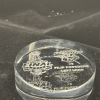 Hockey Puck (Clear) - Image 2